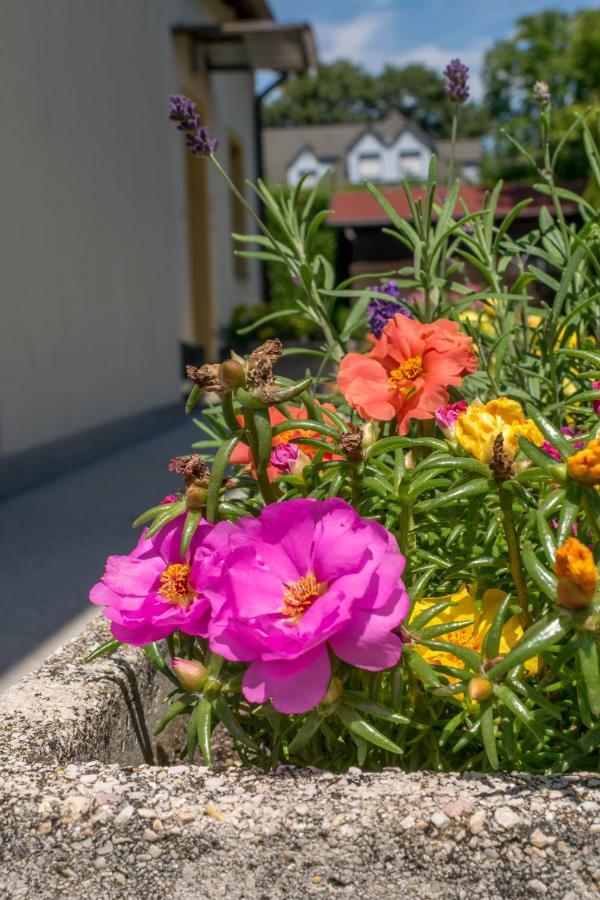 Mikes Vendeghaz Hotel Balatonfüred Екстериор снимка